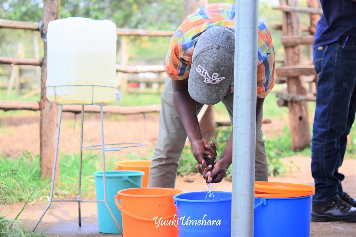 f:id:ugandacowcowdiary:20190314114642j:plain