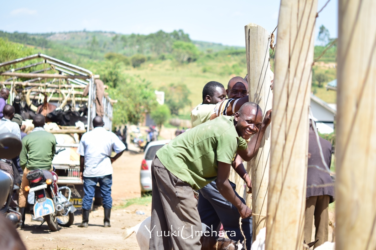 f:id:ugandacowcowdiary:20190317013603j:plain