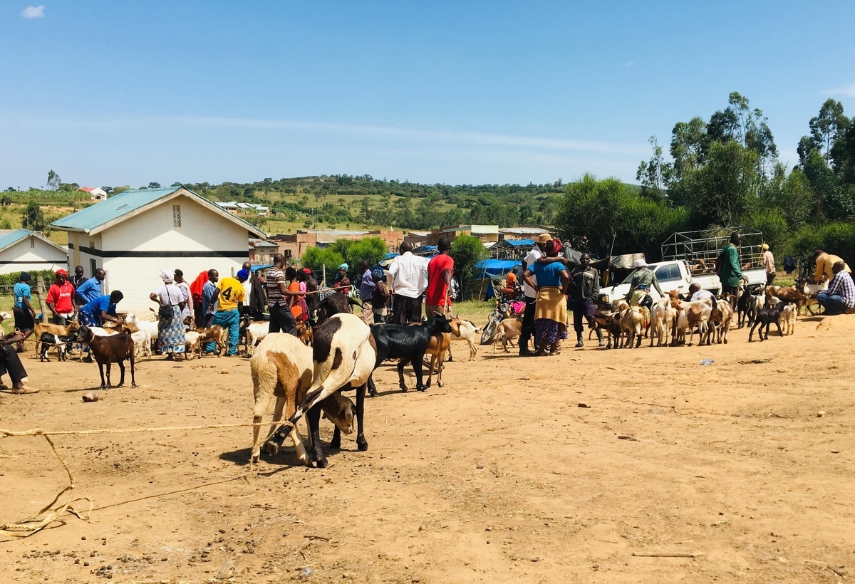 f:id:ugandacowcowdiary:20190318005353j:plain
