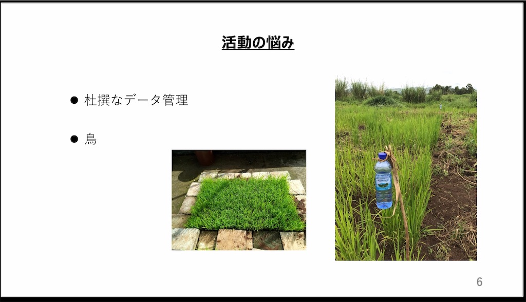 f:id:ugandakougyoukoukou:20200630025500j:image f:id:ugandakougyoukoukou:20200630025500j:image