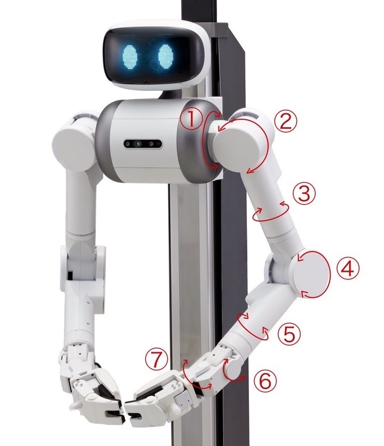 近藤科学 6自由度　ロボットアーム 近藤科学 6自由度ロボットアーム 卓上サイズの6自由度ロボットアーム