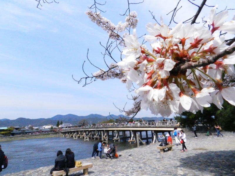 f:id:ugomemo-kyuuya:20140407134508j:plain