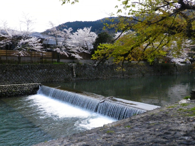 f:id:ugomemo-kyuuya:20140407135916j:plain