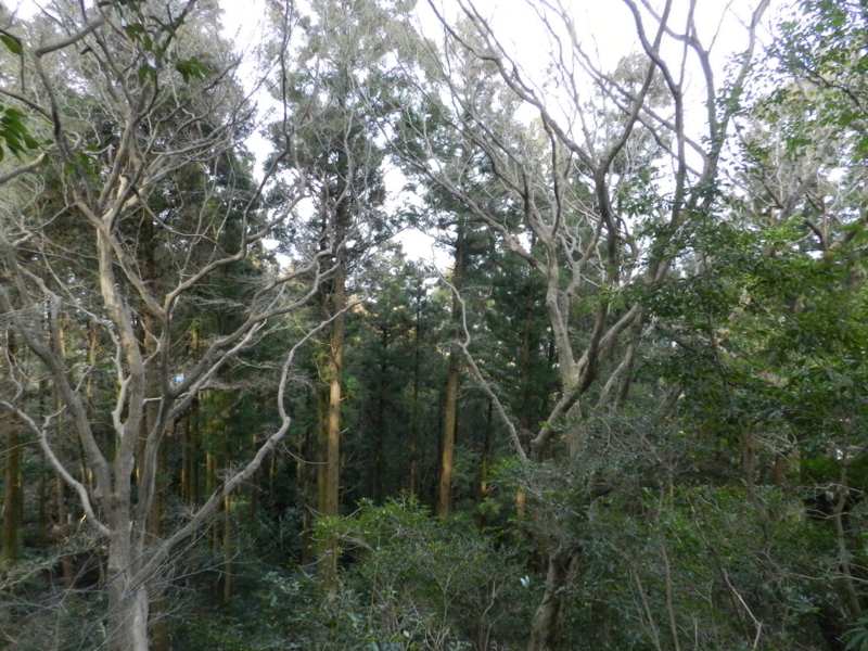 f:id:ugomemo-kyuuya:20150125141510j:plain f:id:ugomemo-kyuuya:20150125141510j:plain
