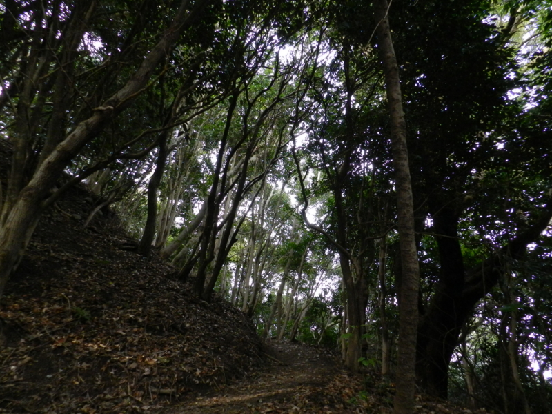 f:id:ugomemo-kyuuya:20150125143301j:plain f:id:ugomemo-kyuuya:20150125143301j:plain