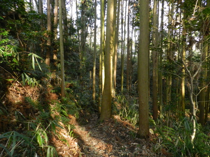 f:id:ugomemo-kyuuya:20150125151040j:plain f:id:ugomemo-kyuuya:20150125151040j:plain