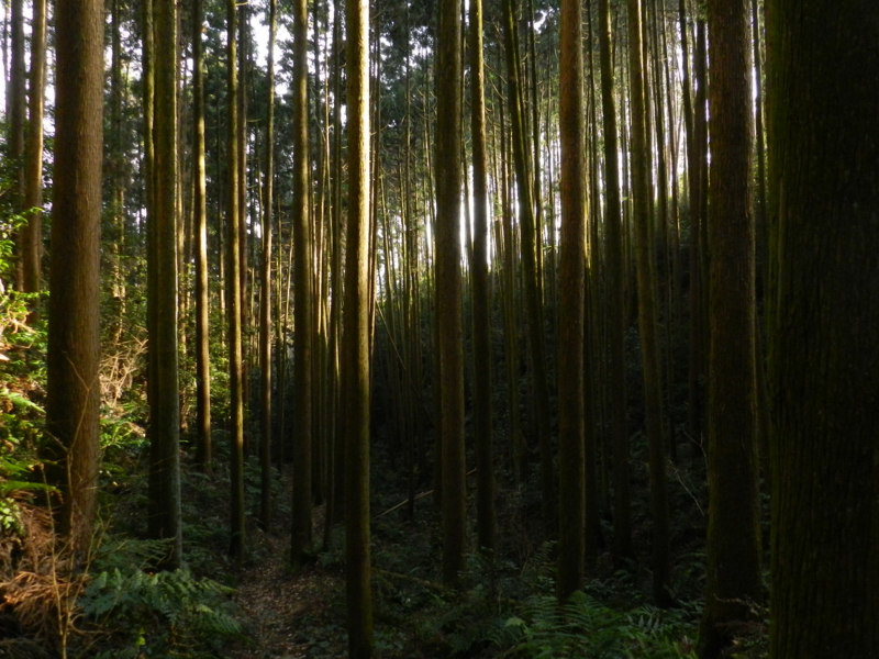 f:id:ugomemo-kyuuya:20150125151550j:plain f:id:ugomemo-kyuuya:20150125151550j:plain