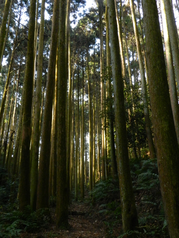 f:id:ugomemo-kyuuya:20150125151936j:plain f:id:ugomemo-kyuuya:20150125151936j:plain