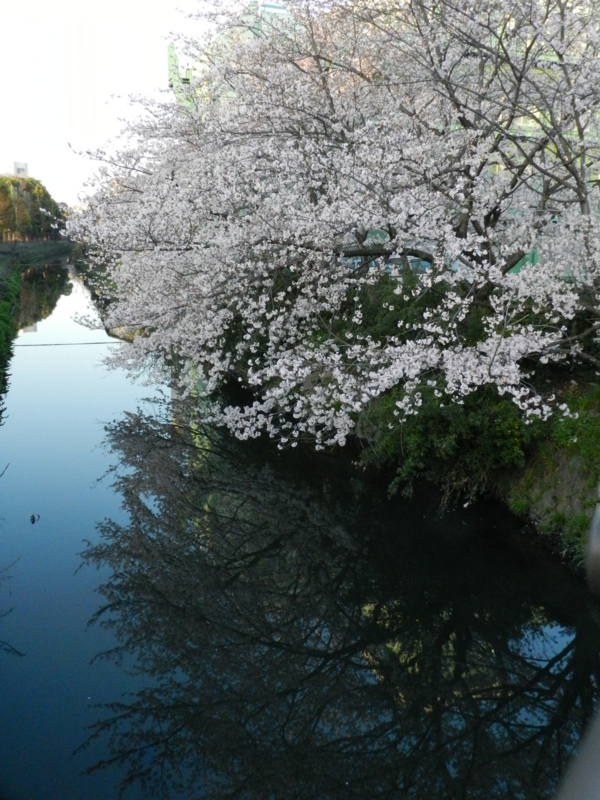 f:id:ugomemo-kyuuya:20150402060906j:plain
