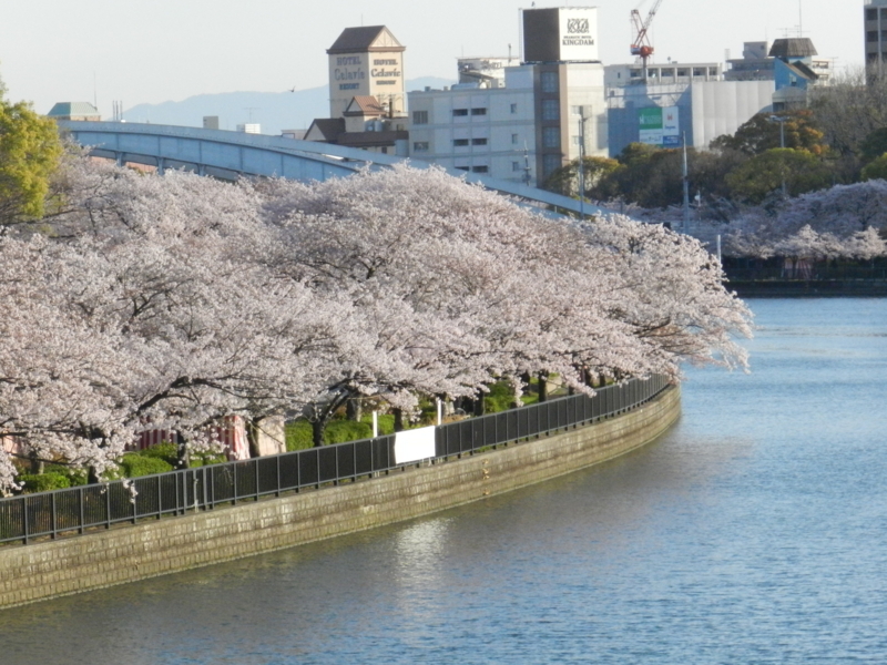 f:id:ugomemo-kyuuya:20150402064701j:plain