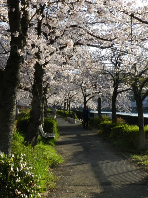 f:id:ugomemo-kyuuya:20150402065206j:plain