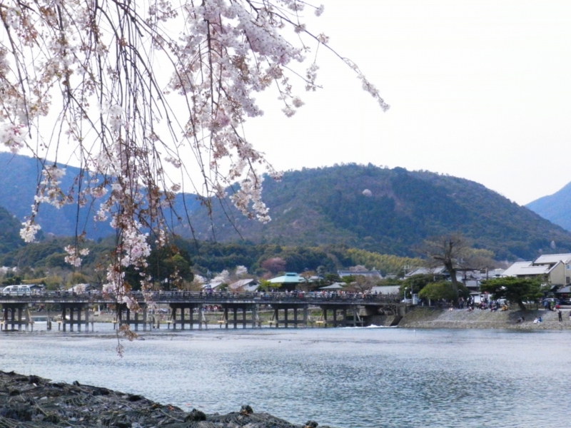 f:id:ugomemo-kyuuya:20150915191611j:plain