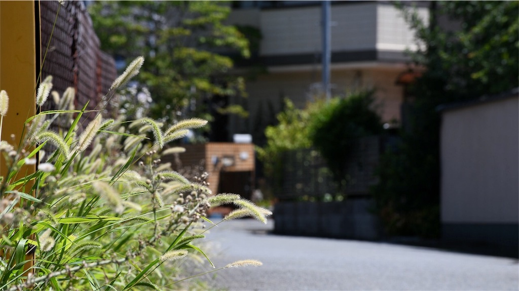 f:id:ugomemo-kyuuya:20180814193829j:image