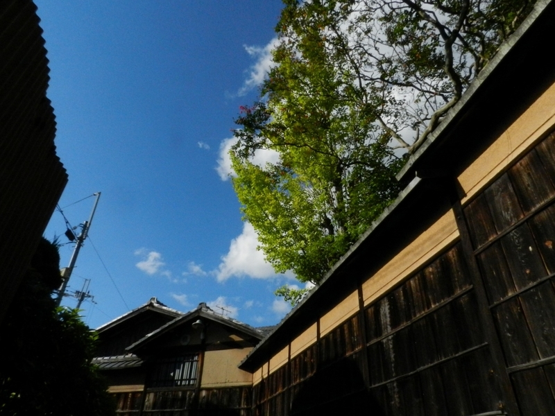 f:id:ugomemo-kyuuya:20190601195153j:plain