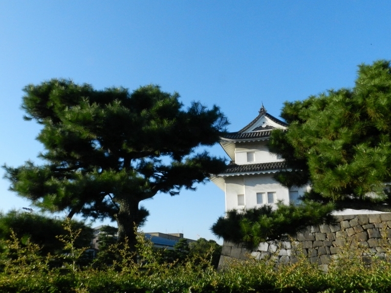 f:id:ugomemo-kyuuya:20190614175909j:plain