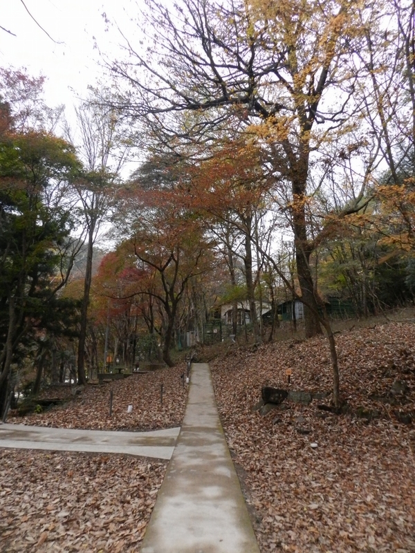 f:id:ugomemo-kyuuya:20190806172451j:plain