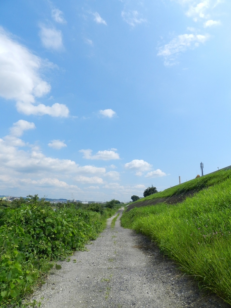 f:id:ugomemo-kyuuya:20200302193600j:plain