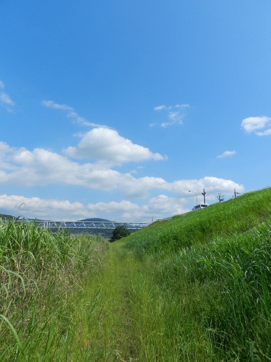 f:id:ugomemo-kyuuya:20200302193606j:plain