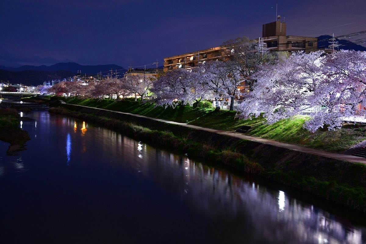f:id:ugomemo-kyuuya:20200414111005j:plain