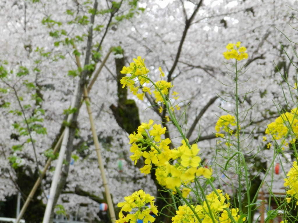 f:id:ugomemo-kyuuya:20200805231907j:plain f:id:ugomemo-kyuuya:20200805231907j:plain