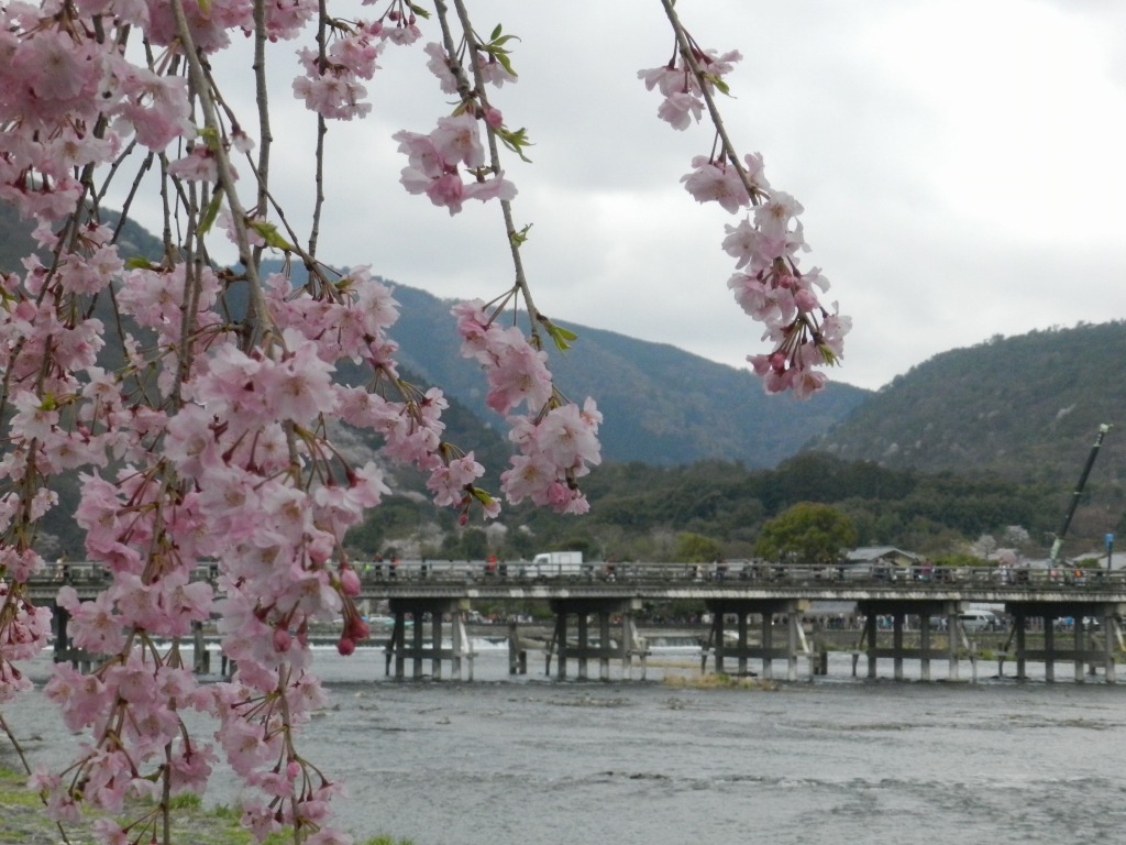 f:id:ugomemo-kyuuya:20200805231949j:plain f:id:ugomemo-kyuuya:20200805231949j:plain