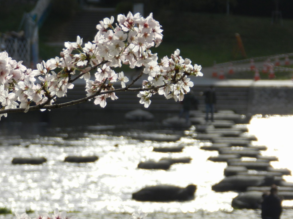 f:id:ugomemo-kyuuya:20200805231953j:plain f:id:ugomemo-kyuuya:20200805231953j:plain
