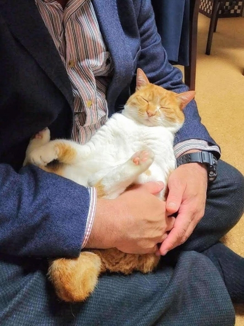 f:id:ugrade:20200805152927j:plain f:id:ugrade:20200805152927j:plain