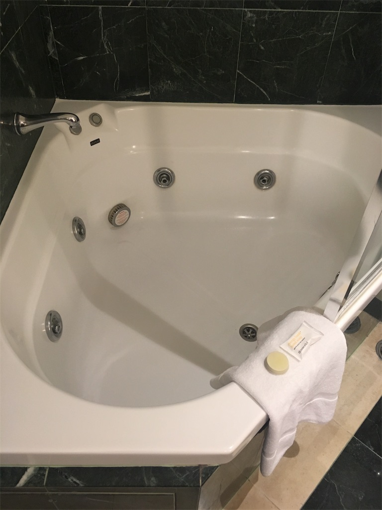f:id:ugteku:20190712093144j:image