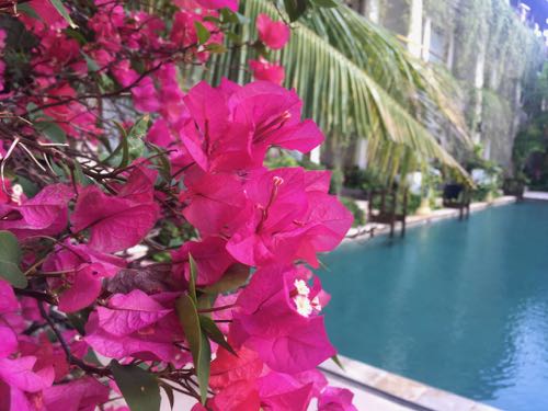f:id:ugteku:20200331201606j:plain f:id:ugteku:20200331201606j:plain