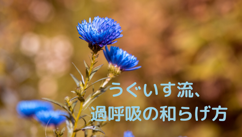 f:id:uguisu_kinako:20200306192525p:plain f:id:uguisu_kinako:20200306192525p:plain