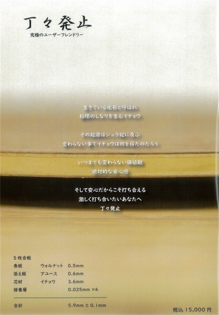 【用具レビュー】丁々発止(Wizard) - 3球目小僧の備忘録