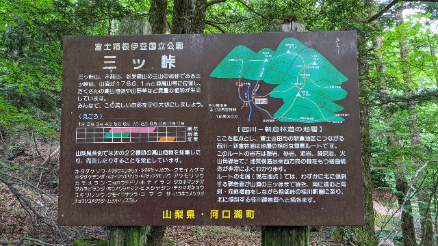f:id:uhfuji:20210628100539j:plain