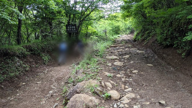 f:id:uhfuji:20210628100824j:plain