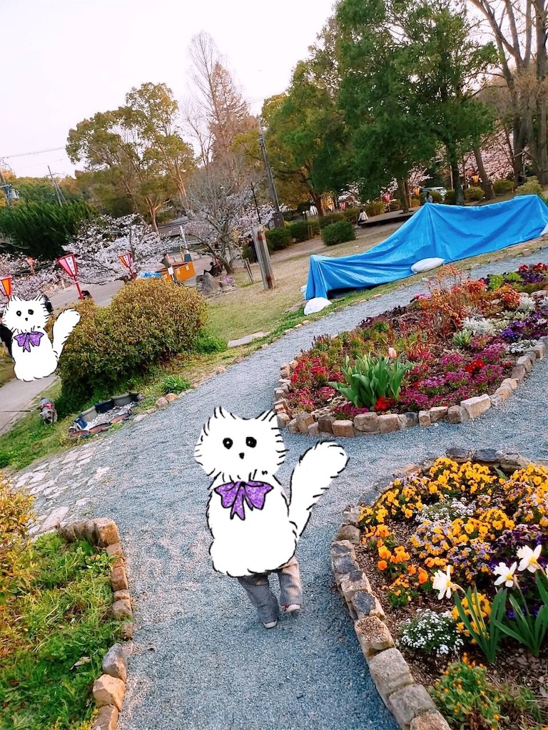 f:id:uhhoi:20190418120339j:image f:id:uhhoi:20190418120339j:image