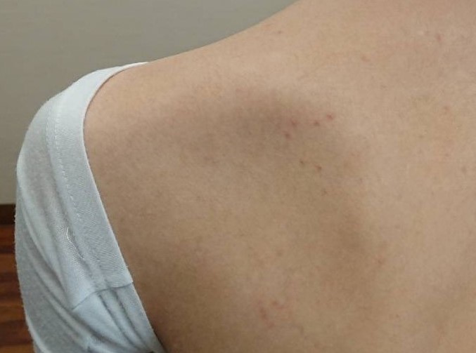 f:id:uhikun:20200215201753j:plain