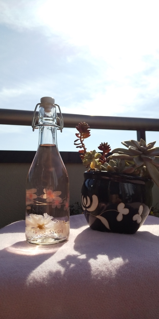 f:id:uhouho5:20190224103811j:plain f:id:uhouho5:20190224103811j:plain