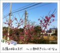 20110123083737