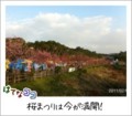 20110206080633
