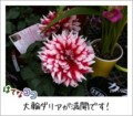 20110220151317