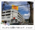 20110319132107