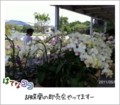 20110508122922