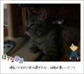 20110730234704
