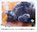20110904131510