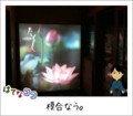 20110906215634
