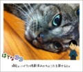 20110911222454