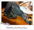 20110912233024