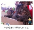 20110917123742