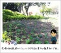 20111022120605