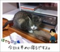 20111203234127