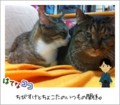 20111224165452